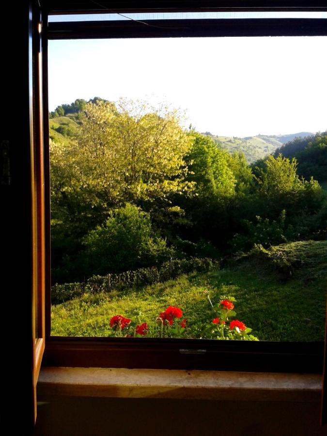 Agriturismo Il Casale Pica Posta ภายนอก รูปภาพ
